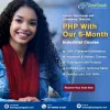6-Month Web Development Mastery: Your Ultimate Guide For 2024 - WriteUpCafe.com