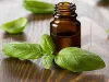 Some Amazing benefits Of Basil Essential Oil