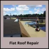 Flat Roof Repair  — Why Should You Hire Professionals For Flat Roof...