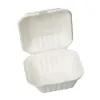 Eco Friendly Boxes: Biodegradable Disposable Food Pack Containers Online | Ecoware
