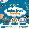 45 days industrial training - Live project and training 
