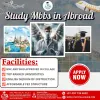 Importance of \approval for MBBS Abroad For Indian students
