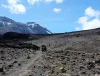 Mount Kilimanjaro | Machame Route | UFO Adventure Travel