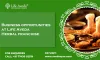 Aveda Ayur — Business opportunities at Life Aveda Herbal...