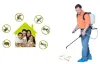  Mosquito control services in Gurgaon 