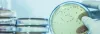 Conduct Regular Fungi Test to Make Aqueous Industrial Environment Safe