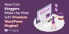 How can bloggers make the most with premium WordPress Plugins?