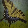 Buy Contemporary Indian Painting Online Abundant Art Gallery