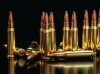 Frangible Ammunition intended target easily