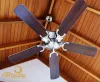 Designer Ceiling Fans with Lights - The Fan Studio