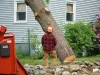 Silver Tree Service, affordable tree removal service Kennesaw GA
