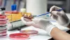 Ask your laboratory to perform a method suitability test
