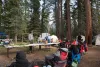 Primitive Living Skills