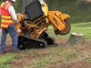 Tree Trimmer Marietta GA
