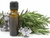 Cajeput Essential Oil, 100% Pure Natural Essential Oil Supplier in India