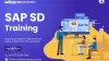 Revealing the Dynamics of SAP SD: Benefits, Demand, and Scope in Modern Business - The Enterprise News