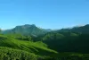 Exciting Kerala Tour Packages For You to enjoy your stay - JustPaste.it