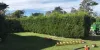 The Best of Tree Lopping Services