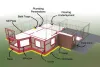 Termite Control Lahore