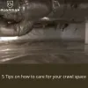 5-tips-on-how-to-care-for-your-crawl-space