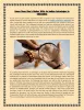           Know Dear One’S Better With an Indian Astrologer in Edmonton  |authorSTREAM      