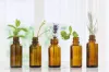 Aromatherapy Oils - Where to Buy Best Aromatherapy Oils?