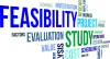 Feasibility Analysis of New Business Ideas