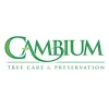 Gulfport Tree Service