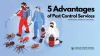 5 Advantages of Pest Control Services