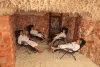 Health Benefits of Himalayan Salt and Himalayan Salt Room: ext_5611436 — LiveJournal
