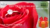 diamond ring usa online