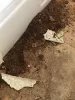 Subfloor repairs – Simplicity Flooring and  Tile