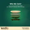 Disposable Plates