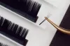 Lash Supplies
