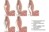Leading Gastroenterologists in C-Scheme Jaipur | S.R. Kalla Hospital