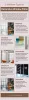 5 Different Types of Decorative Window Films