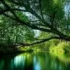 घर पर मजबूत इच्छाशक्ति वाले बच्चे को कैसे पढ़ाया जा सकता है? - Letsdiskuss