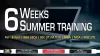 Best 6 Weeks Summer Training in Noida | Training Basket Delhi Classifieds - IndiaDynamics.com