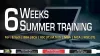 Best 4 Weeks Summer Training in Noida | Training Basket