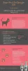 MDXConcepts — We have the solution for you. Jasper Flea and...