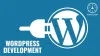 WordPress Development Solutions | Word Press Website Development Services | Mrmmbs Vision