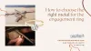 How to choose the right metal for the engagement ring 