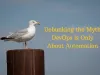 Debunking the Myth DevOps is Only About Automation - WriteUpCafe.com