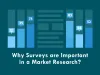 6 Reasons Why WordPress Survey Tools Are Essential for Market Research | Conversion Rate Optimization Blog