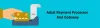Adult Payment Processor - New York City - Planet Classifieds