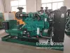 China Why can\'t the details of diesel generator set coolant be ignored