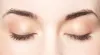 Why Individual Lashes Are the Best Choice for Your Beauty Routine - AtoAllinks