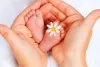 Top 5 Best IVF Centre in India With High Success Rates in 2021 | Fifty Shades Of SEO - Get Multiple Submission Backlinks From One Website