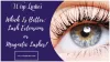 Which Is Better: Lash Extensions or Magnetic Lashes?  | Blush