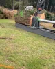 Tree Removal